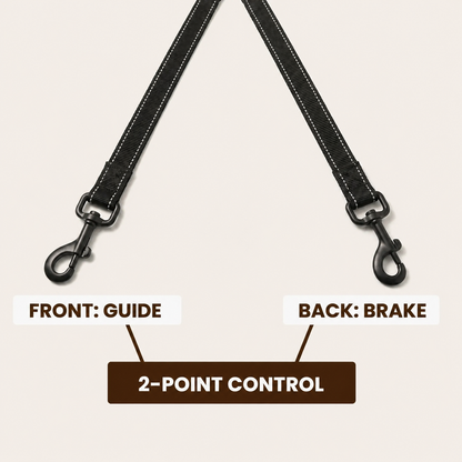 Furly & Co. Comfort No-Pull Dog Leash