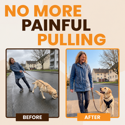 Furly & Co. Comfort No-Pull Harness