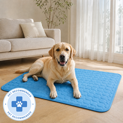 Furly & Co. Comfort Dog Cooling Mat