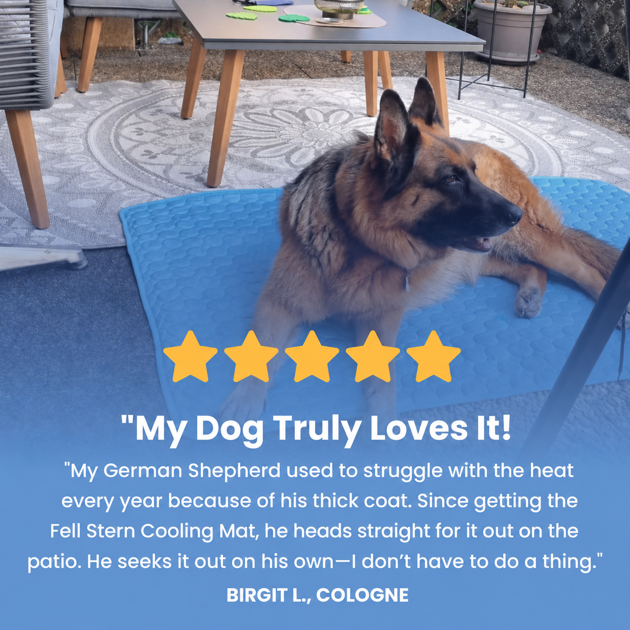 Furly & Co. Comfort Dog Cooling Mat
