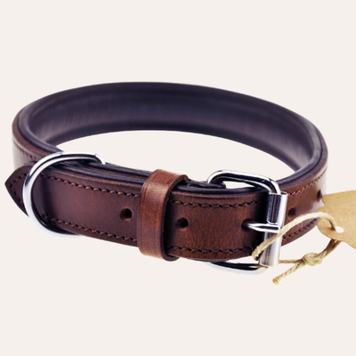 Traditional Harnesses