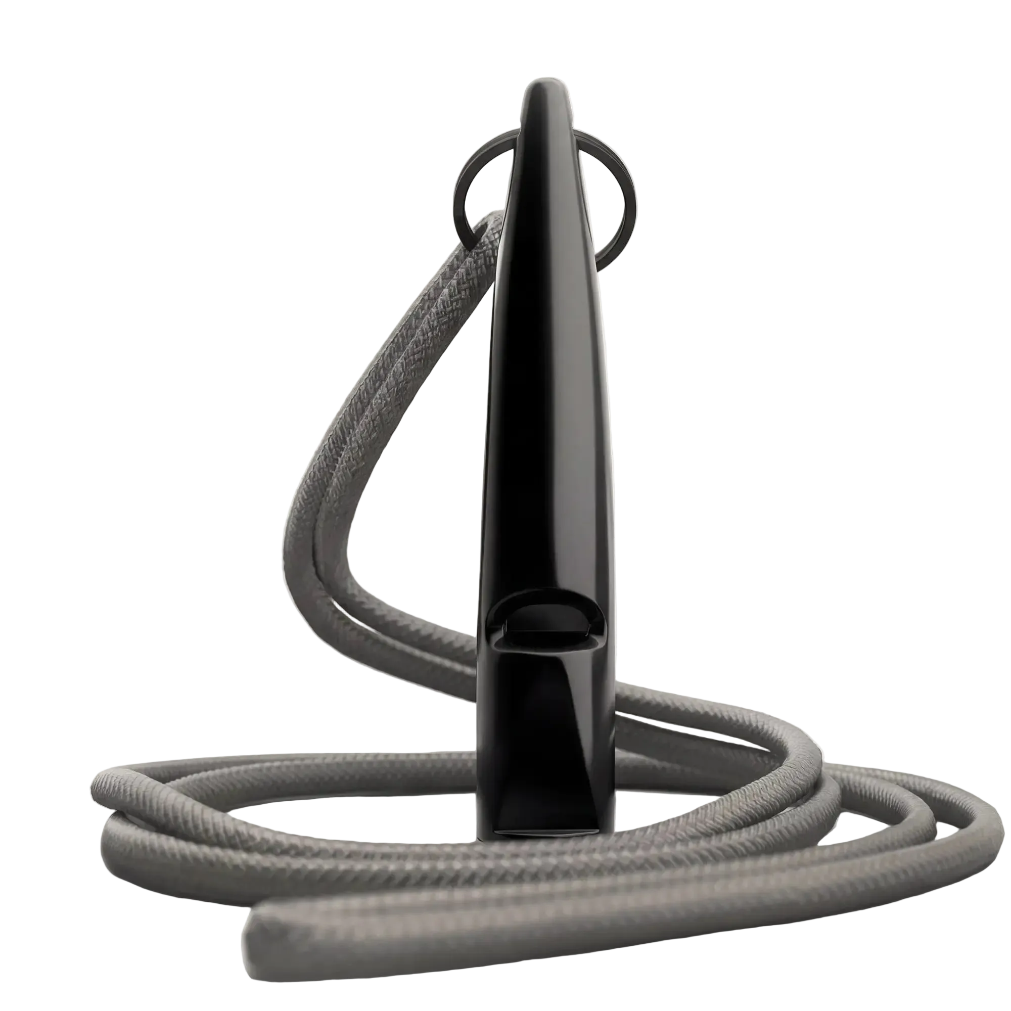 Dog Training Whistle