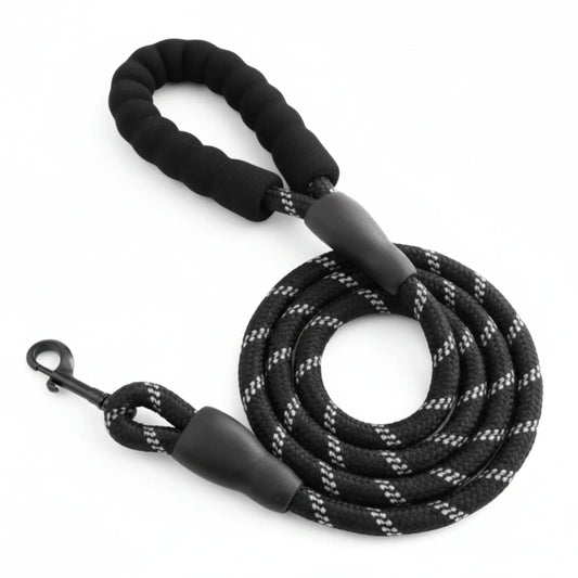 Dog Leash