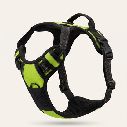 Furly & Co. Comfort No-Pull Harness